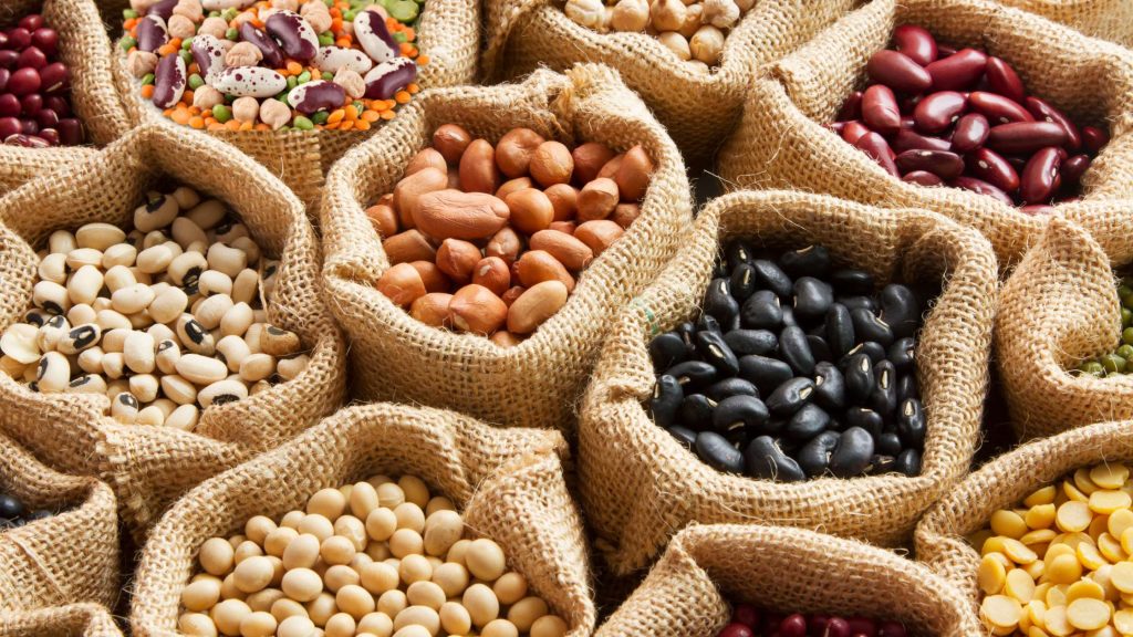 Legumes