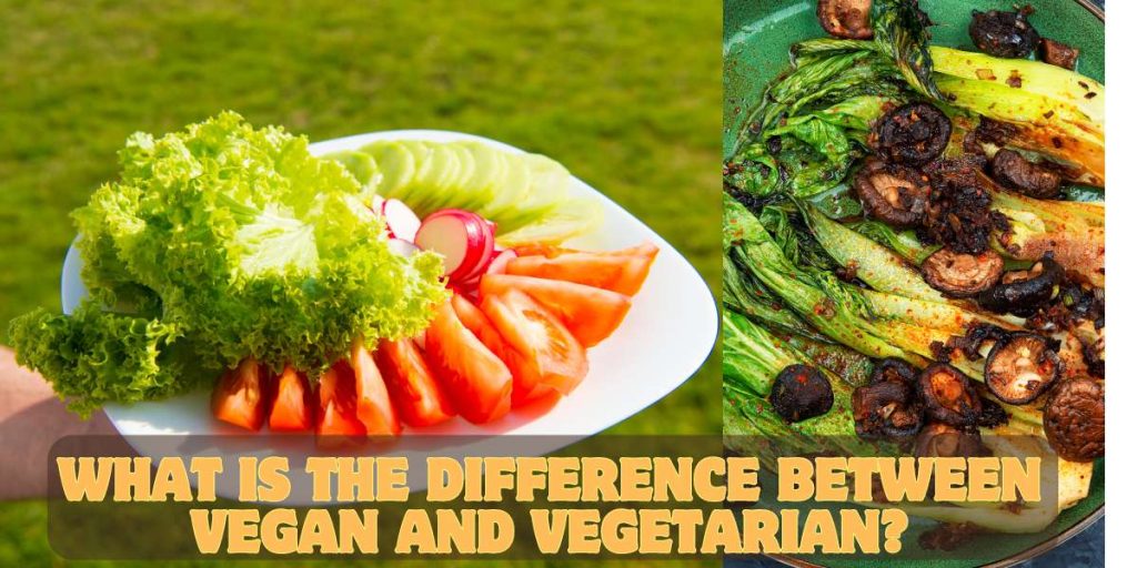 what is the difference between vegan and vegetarian