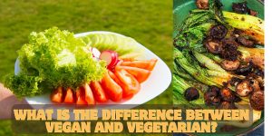 what is the difference between vegan and vegetarian